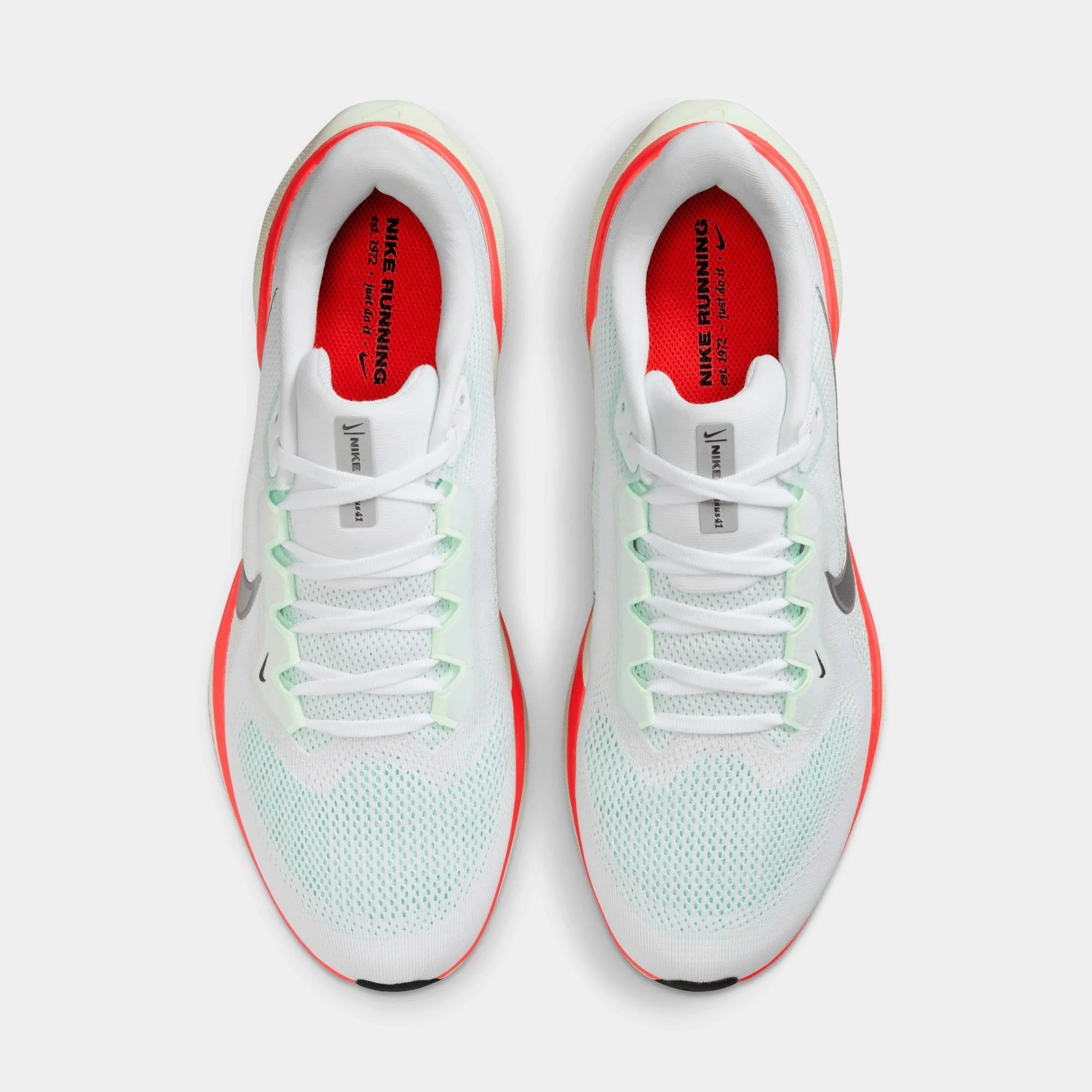Zapatillas Nike Pegasus 41 - Image 3